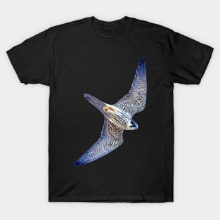 Hobby Cutout Art T-Shirt